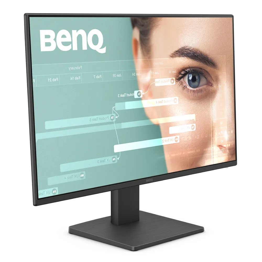 BenQ GW2491