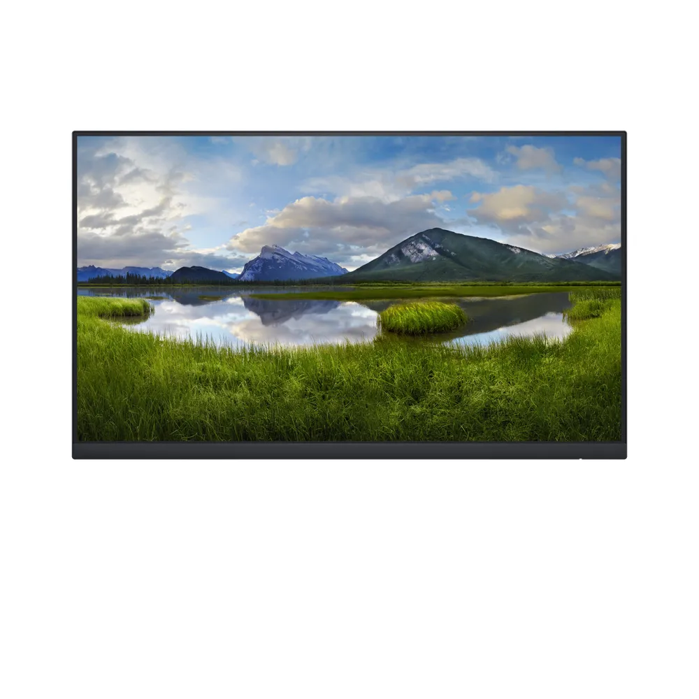Dell P2422HE | dell-p2422hewo | Ohne Standfuß - LED-Monitor