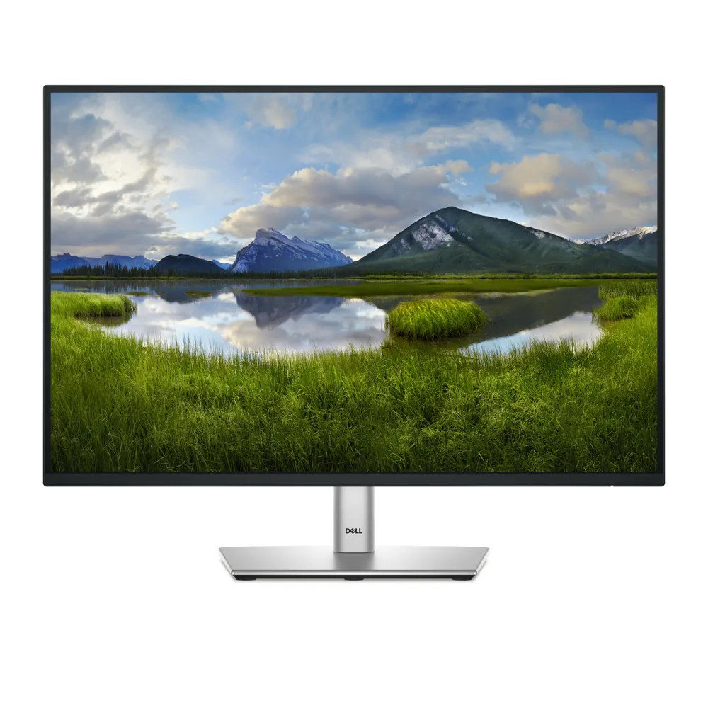Dell P2425 | dell-p2425 | LED-Monitor - 61 cm