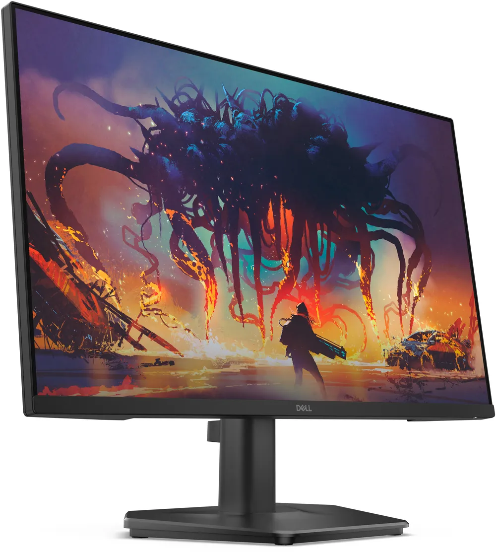 Dell SE2425HG