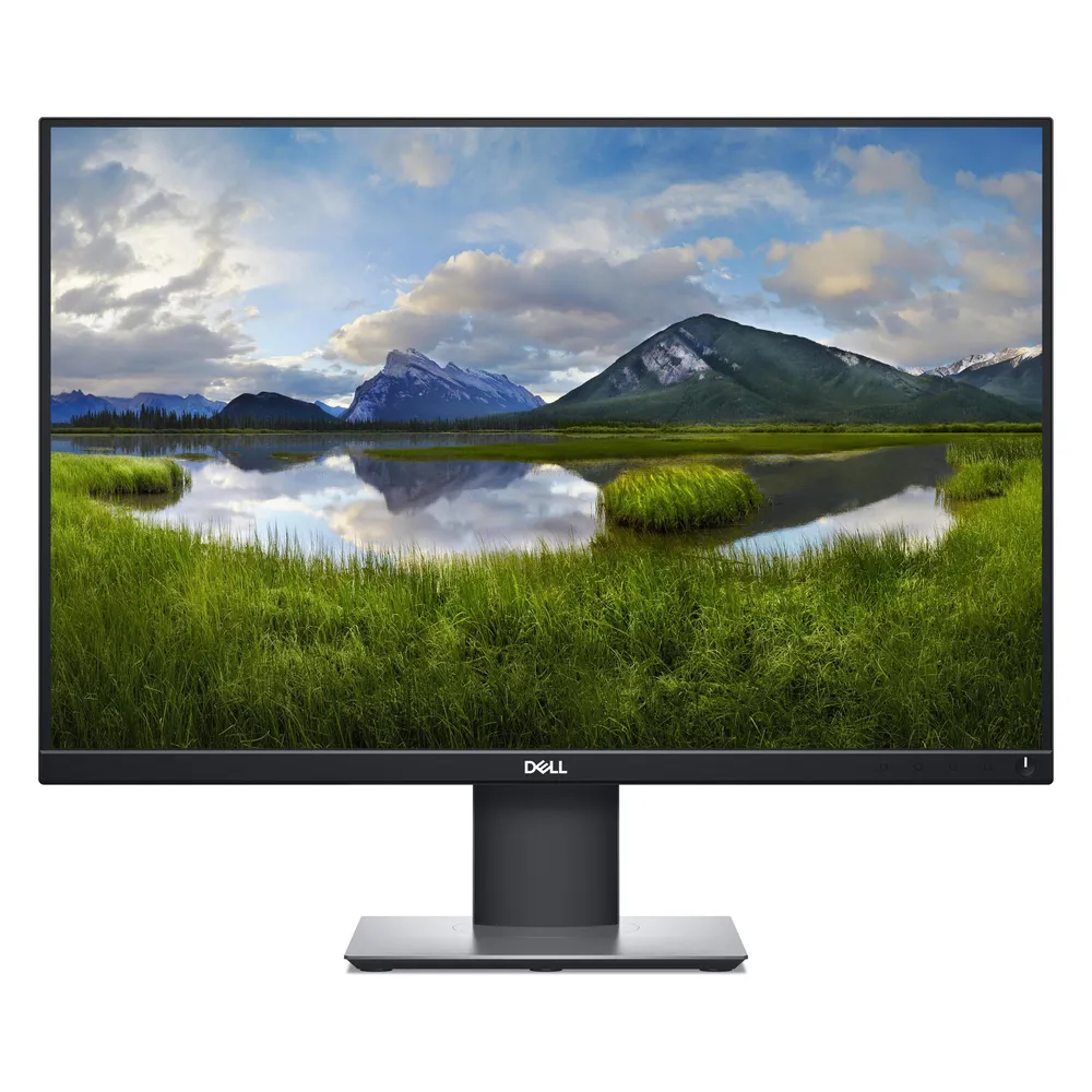 Dell P2421 (1920 x 1200 Pixel, 24.10")