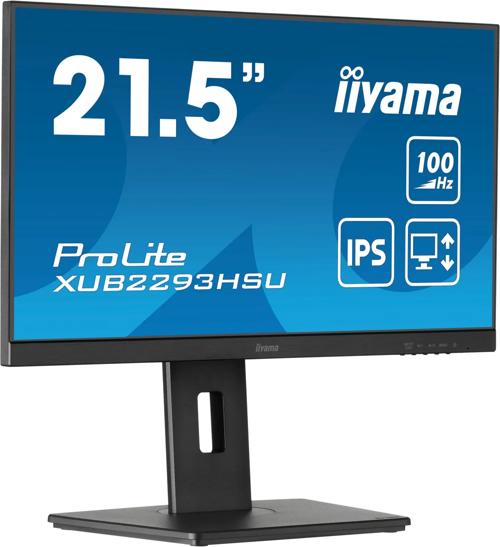 iiyama Monitor XUB2293HSU-B7