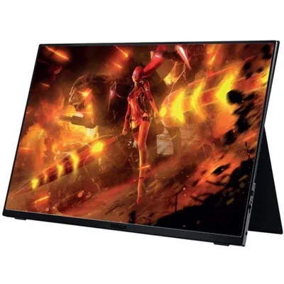 Monitor Nilox NXMP16FHD1201 16,1" WUXGA 120Hz IPS Tragbar USB-C VESA