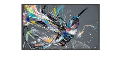 Monitor Philips 86BDL3511Q 86" UltraHD 4K IPS XL Integrierter Sound