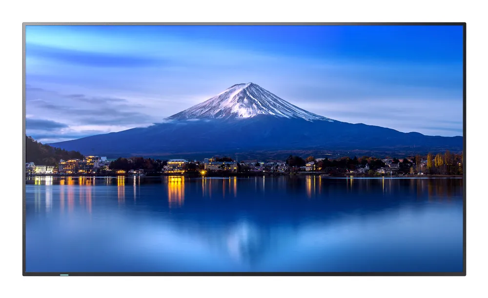 Monitor Sharp MultiSync P656 64,5" UltraHD 4K 60Hz IPS Integrierter Sound